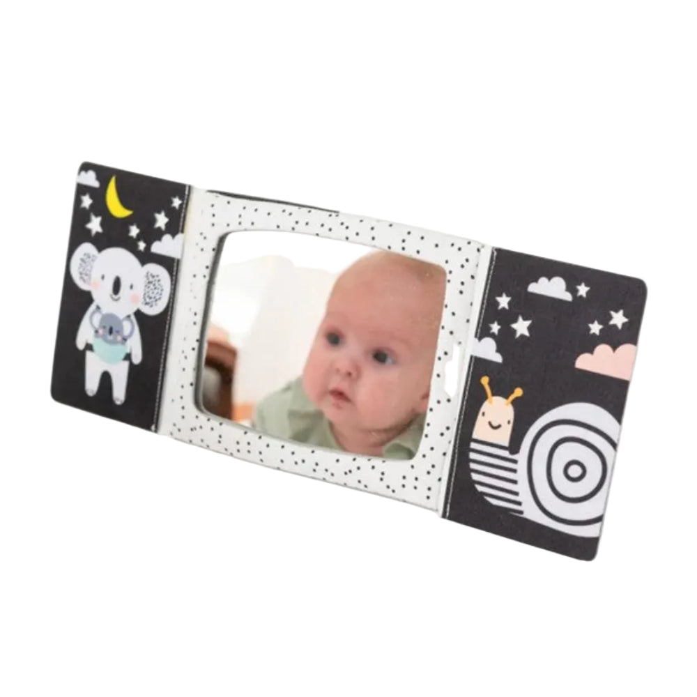 Taf toys Tummy Time Mirror Book