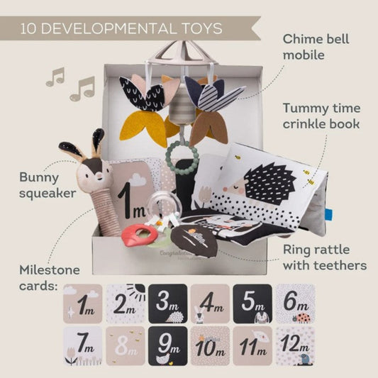 Taf Toys Newborn Black & White Kit