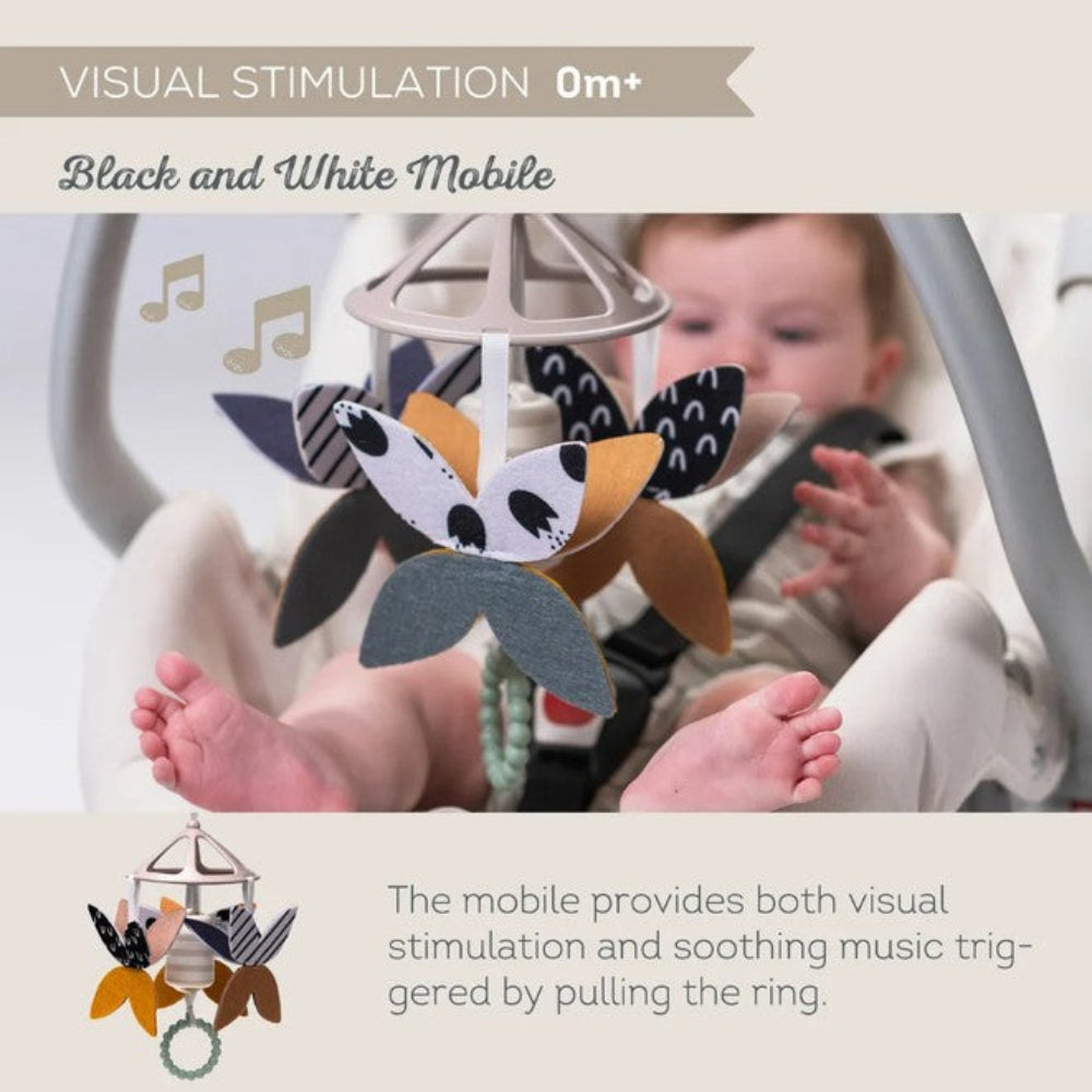 Taf Toys Newborn Black & White Kit