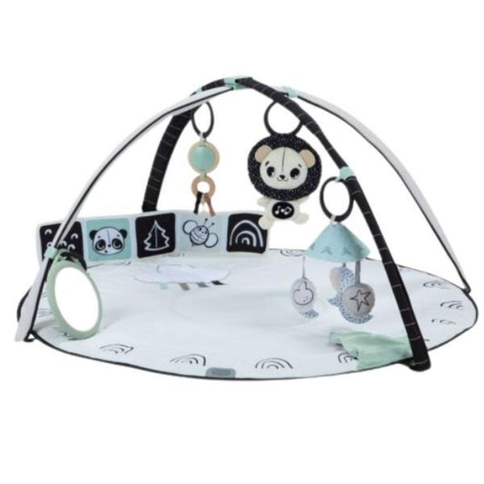 Tiny Love Black and White Decor Gymini