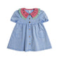 I Carried a Watermelon Denim Dress