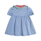 I Carried a Watermelon Denim Dress