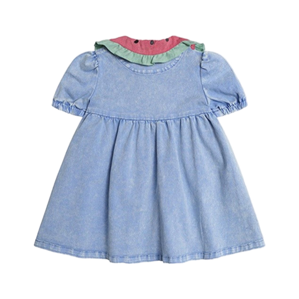 I Carried a Watermelon Denim Dress