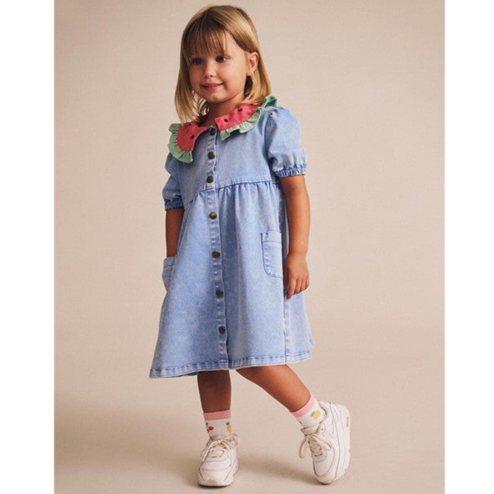 I Carried a Watermelon Denim Dress