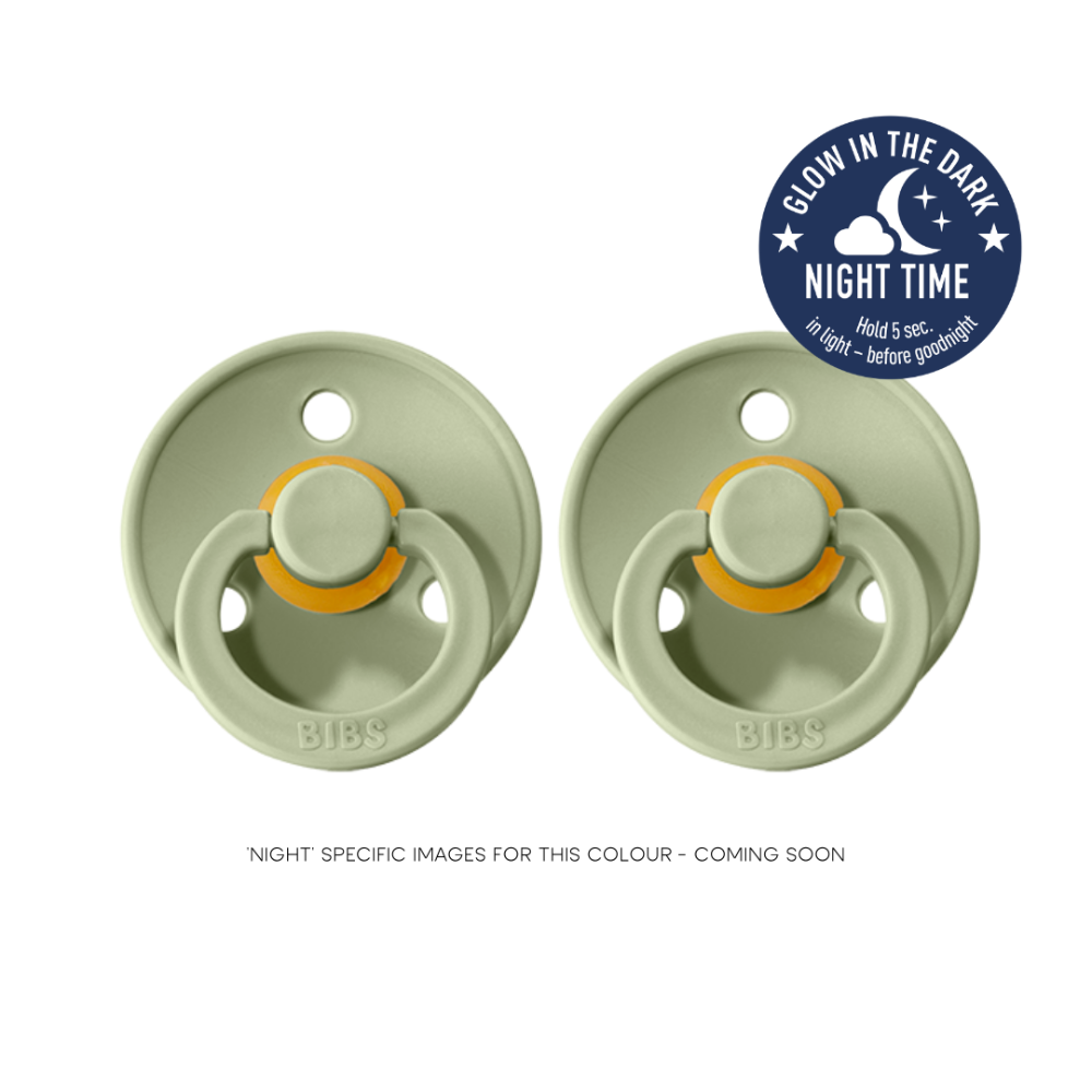 Bibs glow in the dark pacifier cheap