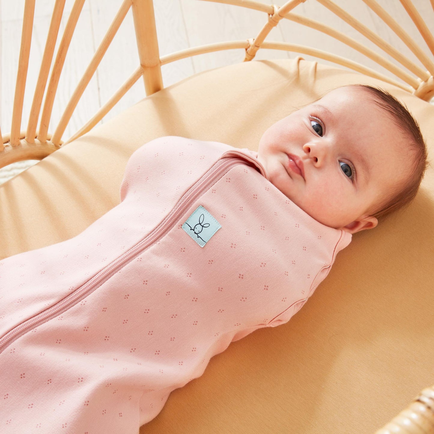 ErgoPouch Cocoon Swaddle Bag 1.0 Tog Berries