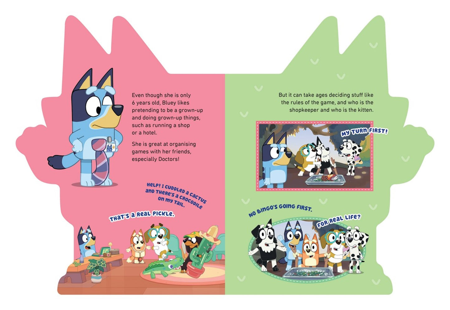 Bluey - All about Bluey Board Book