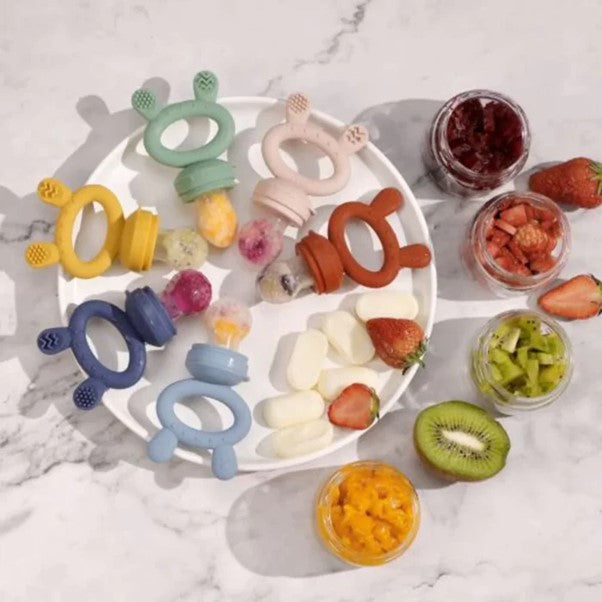 Haakaa fresh food hot sale feeder and teether